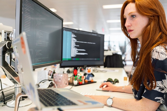 Software & IT